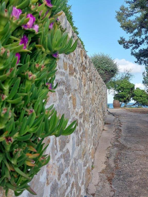 Sunny Terrace Hvar Appartamento Zavala